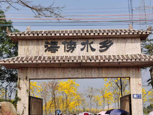 图片5.png