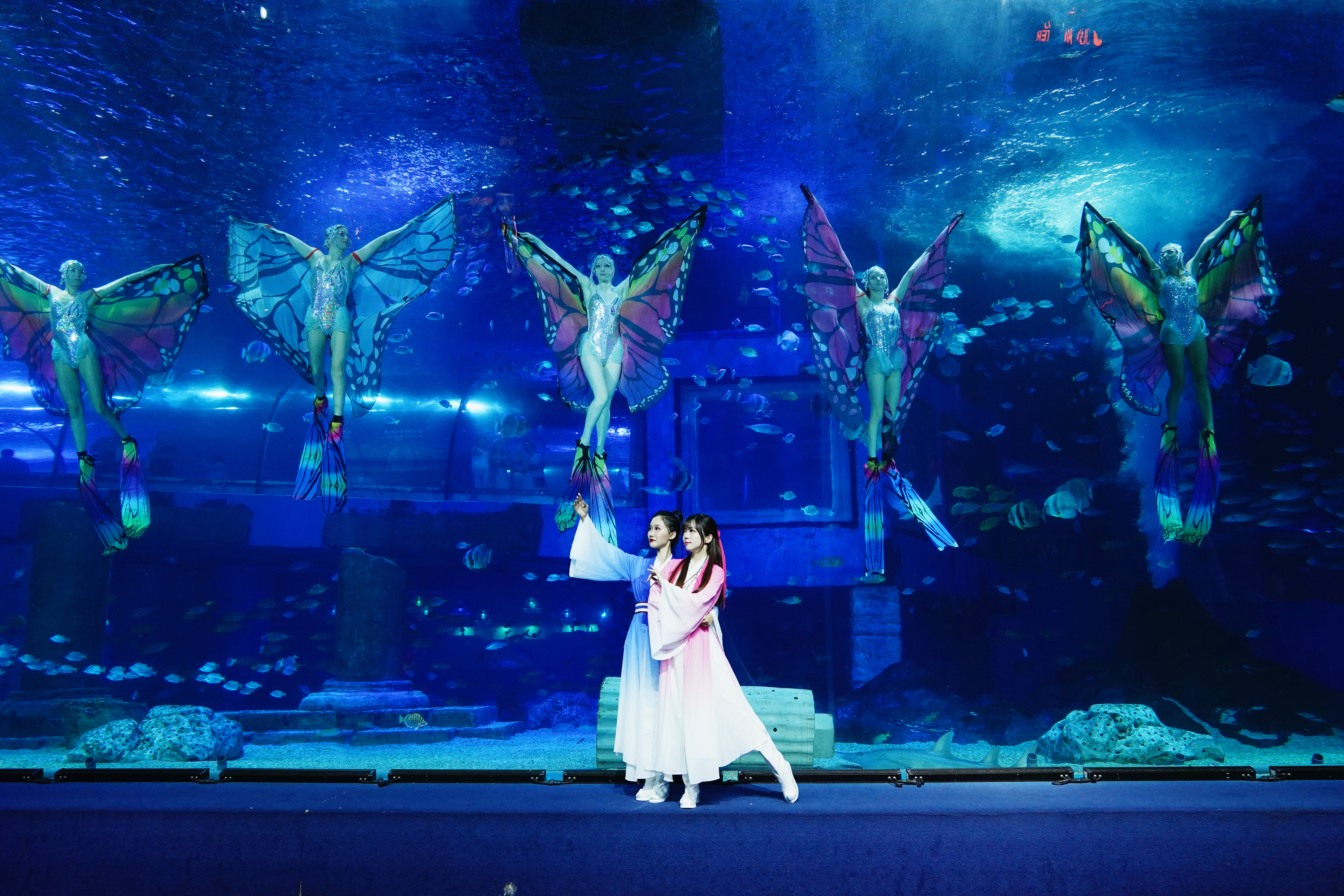 正佳极地海洋世界推出中秋限定海底国潮演艺《忆梁祝》.jpg