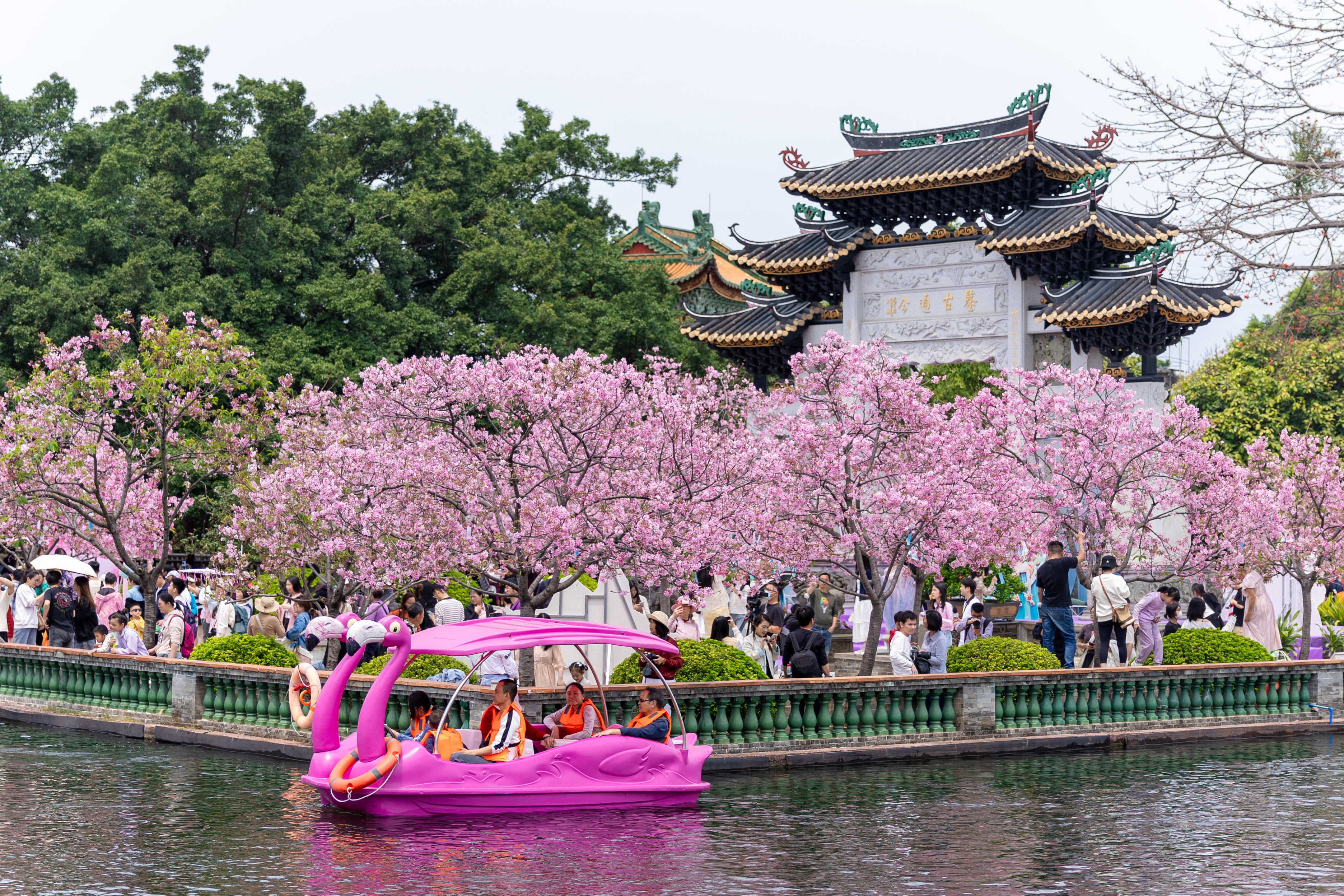 游客在宝墨园赏花.jpg