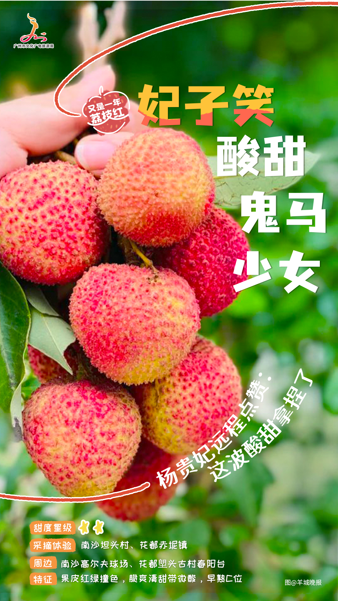 妃子笑.jpg