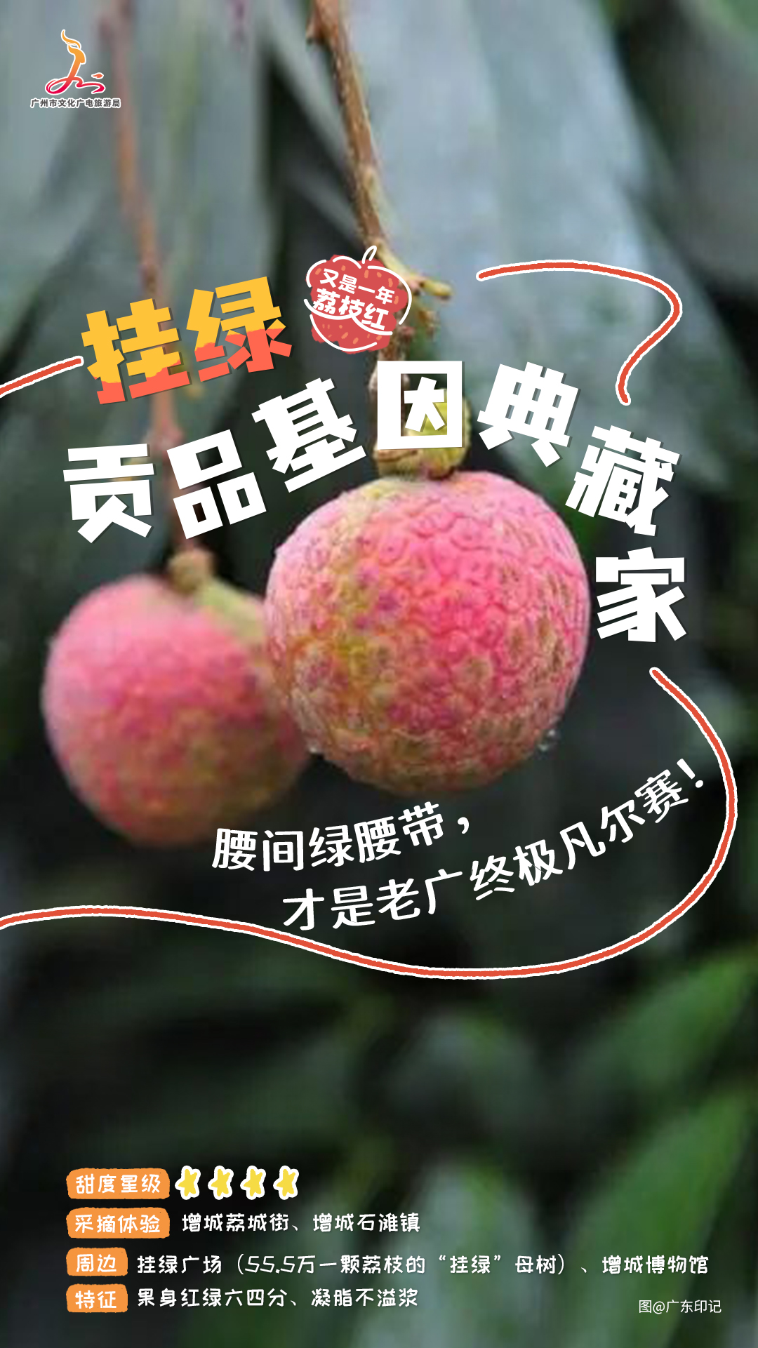 挂绿.jpg