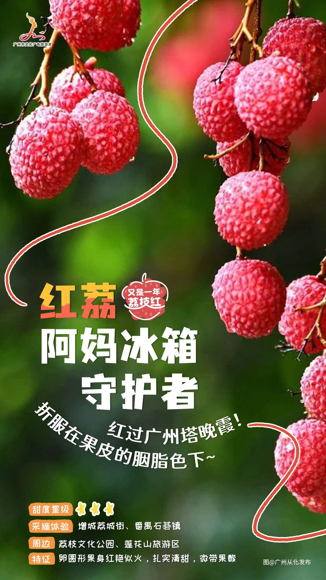 红荔.jpg