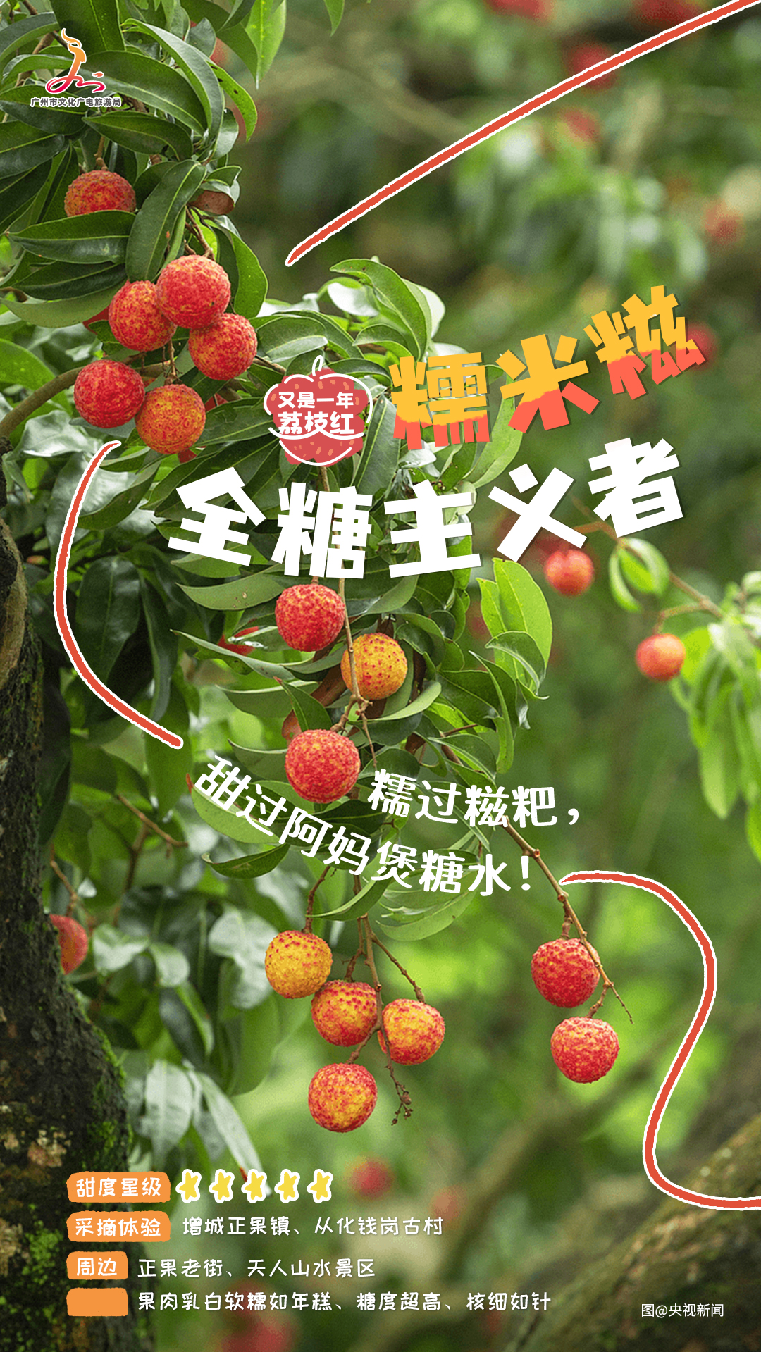 西港娱乐