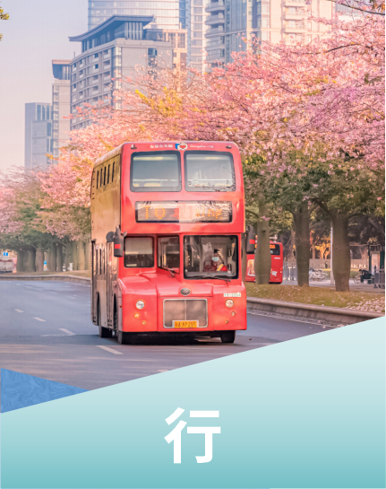 西港娱乐